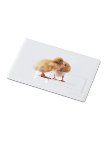Creditcard. USB flash 16GB