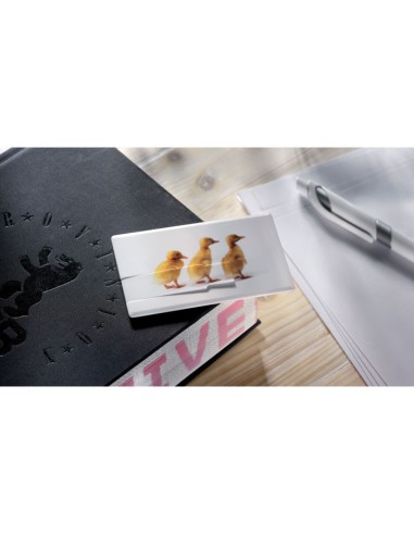 Memoria USB de ABS en forma de tarjeta Halifax PERSONALIZABLE
