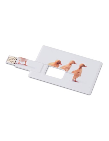 Memoria USB de ABS en forma de tarjeta Halifax 16GB PERSONALIZABLE